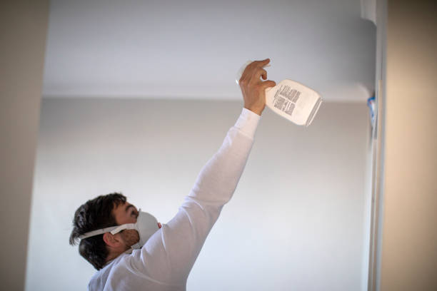 Best Local Mold Removal Service  in Sacaton, AZ
