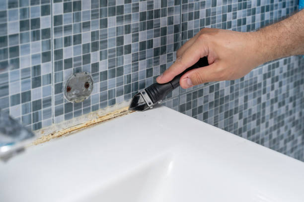 Best Certified Mold Removal  in Sacaton, AZ