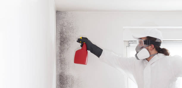 Best Certified Mold Removal  in Sacaton, AZ